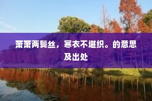 萧萧两鬓丝，寒衣不堪织。的意思及出处