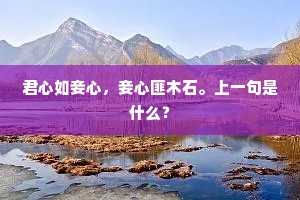 君心如妾心，妾心匪木石。上一句是什么？