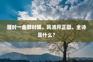 醒时一曲醉时眠。风清月正圆。全诗是什么？