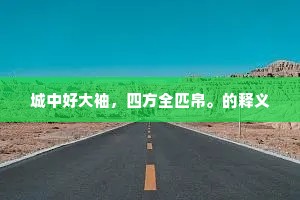 城中好大袖，四方全匹帛。的释义