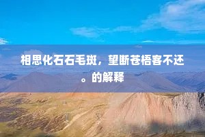 相思化石石毛斑，望断苍梧客不还。的解释