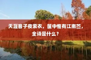 天涯客子夜索衣,箧中惟有江南苎,全诗是什么? 天涯客子夜索衣,箧中惟有江南苎,全诗是什么?