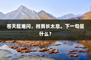 苍天既难问，拊膺长太息。下一句是什么？