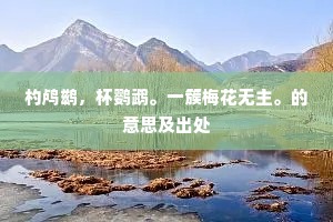 杓鸬鹚，杯鹦鹉。一簇梅花无主。的意思及出处
