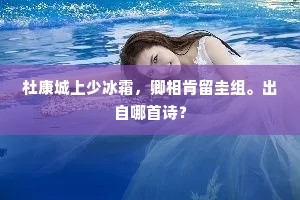 杜康城上少冰霜，卿相肯留圭组。出自哪首诗？