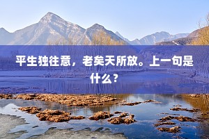 平生独往意，老矣天所放。上一句是什么？