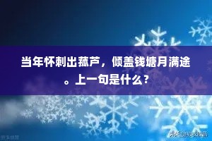 当年怀刺出菰芦，倾盖钱塘月满途。上一句是什么？