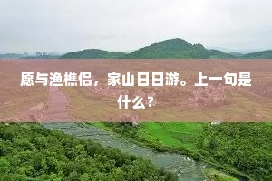 愿与渔樵侣，家山日日游。上一句是什么？