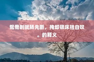 鸳鸯刺就肠先断，掩却银床独自叹。的释义