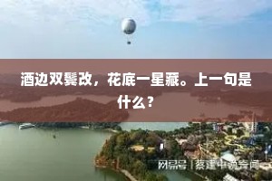 酒边双鬓改，花底一星藏。上一句是什么？