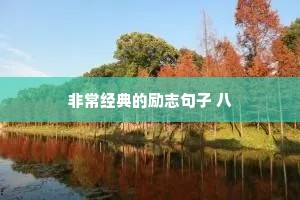 非常经典的励志句子 八