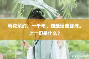 看花须约，一千年、知赴瑶池缘浅。上一句是什么？