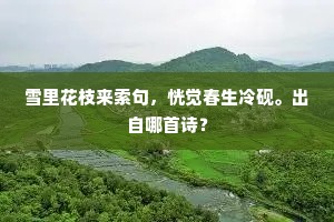雪里花枝来索句，恍觉春生冷砚。出自哪首诗？
