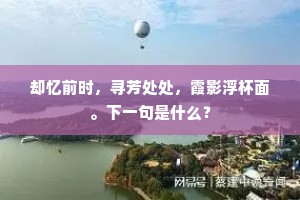却忆前时，寻芳处处，霞影浮杯面。下一句是什么？