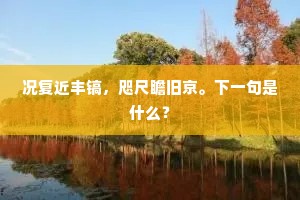 况复近丰镐，咫尺瞻旧京。下一句是什么？