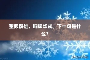 望倾群雄，响振华戎。下一句是什么？