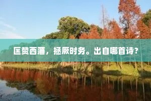 匡赞西藩，拯厥时务。出自哪首诗？