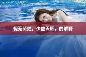 愧无荧烛，少益天晖。的解释