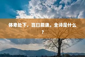 体卑处下，岂曰能谦。全诗是什么？