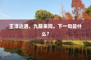 王泽远洒，九服来同。下一句是什么？