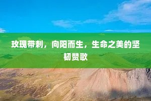 玫瑰带刺，向阳而生，生命之美的坚韧赞歌