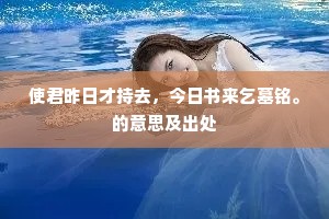 使君昨日才持去，今日书来乞墓铭。的意思及出处