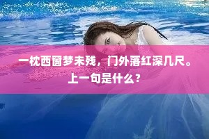 一枕西窗梦未残，门外落红深几尺。上一句是什么？