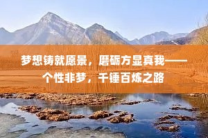 梦想铸就愿景，磨砺方显真我——个性非梦，千锤百炼之路