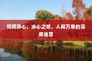 同颜异心，冰心之叹，人间万象的深度省思