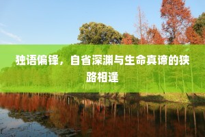 独语偏锋，自省深渊与生命真谛的狭路相逢