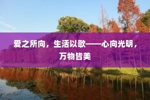 爱之所向，生活以歌——心向光明，万物皆美