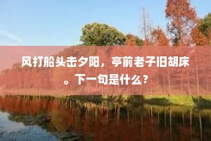 风打船头击夕阳，亭前老子旧胡床。下一句是什么？