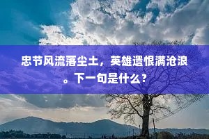 忠节风流落尘土，英雄遗恨满沧浪。下一句是什么？