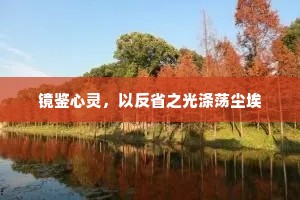镜鉴心灵，以反省之光涤荡尘埃