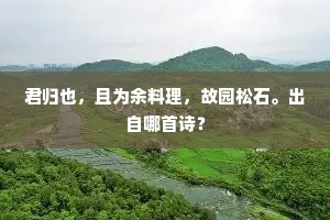 君归也，且为余料理，故园松石。出自哪首诗？