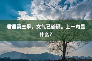 君虽第三甲，文气已磅礴。上一句是什么？