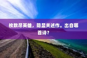 枚数尽英雄，隐显关述作。出自哪首诗？