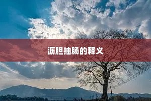 沥胆抽肠的释义