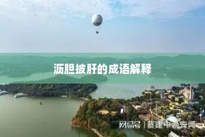 沥胆披肝的成语解释