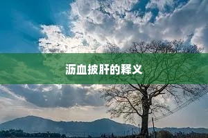 沥血披肝的释义