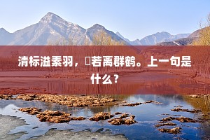 清标溢素羽，皦若离群鹤。上一句是什么？