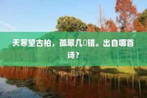 天寒望古柏，孤翠几巉错。出自哪首诗？