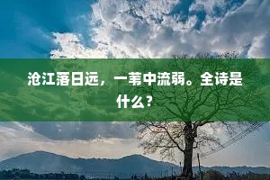 沧江落日远，一苇中流弱。全诗是什么？