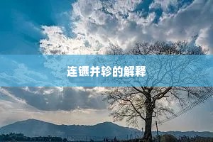 连镳并轸的解释