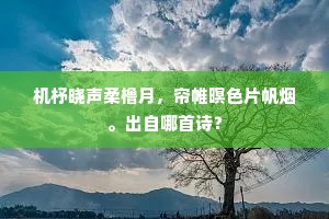 机杼晓声柔橹月，帘帷暝色片帆烟。出自哪首诗？