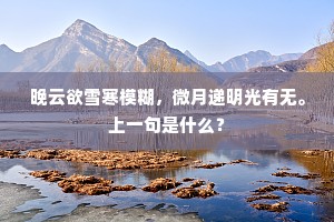 晚云欲雪寒模糊，微月递明光有无。上一句是什么？