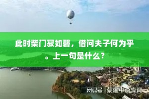 此时柴门寂如磬，借问夫子何为乎。上一句是什么？