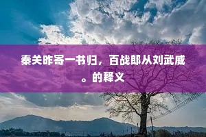 秦关昨寄一书归，百战郎从刘武威。的释义