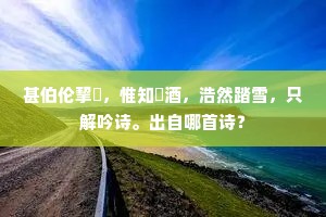 甚伯伦挈榼，惟知殢酒，浩然踏雪，只解吟诗。出自哪首诗？
