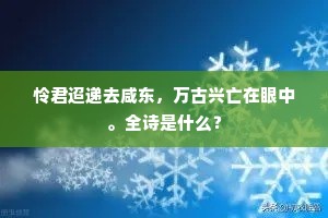 怜君迢递去咸东，万古兴亡在眼中。全诗是什么？